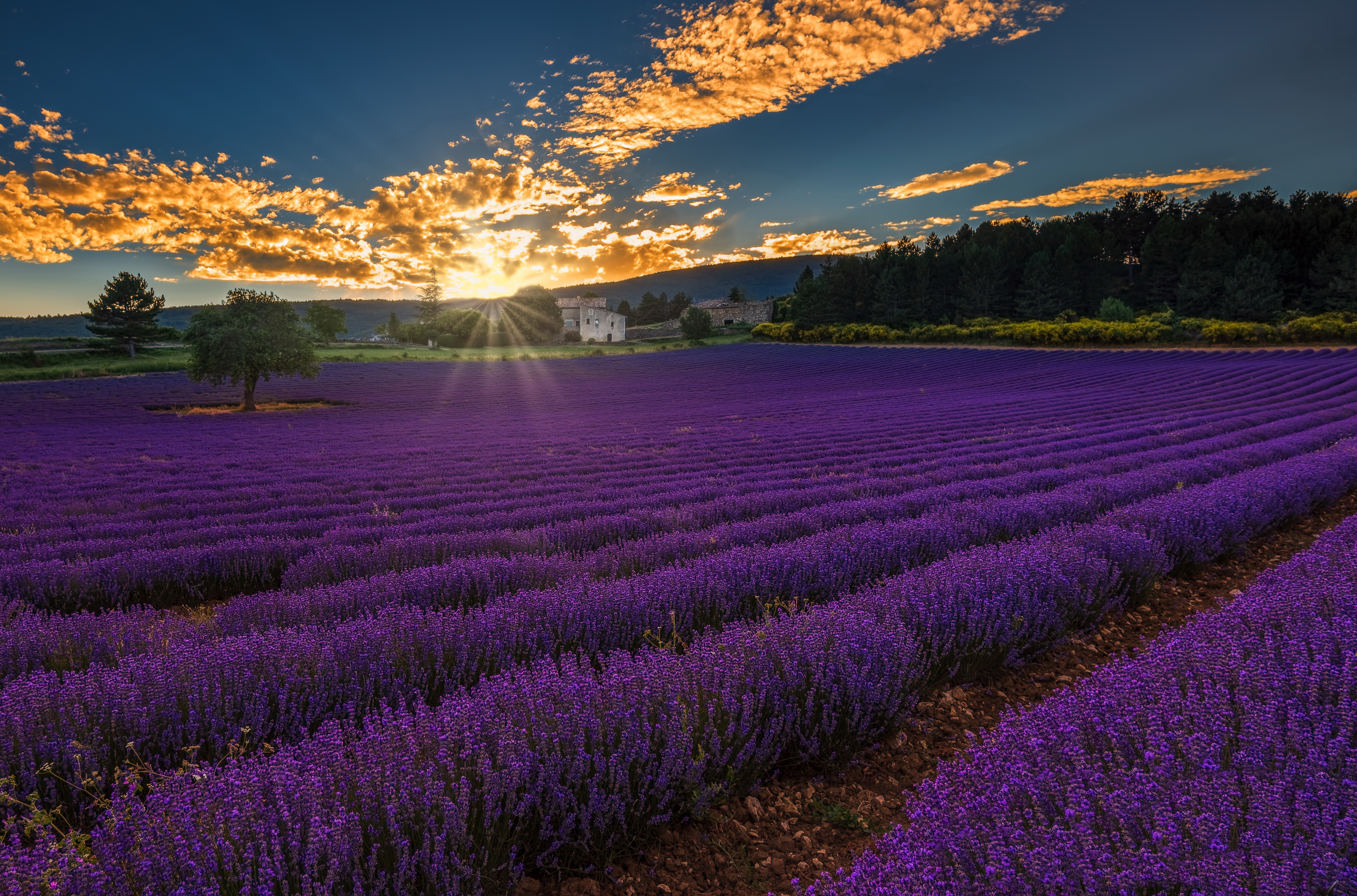 Provence France Wallpapers