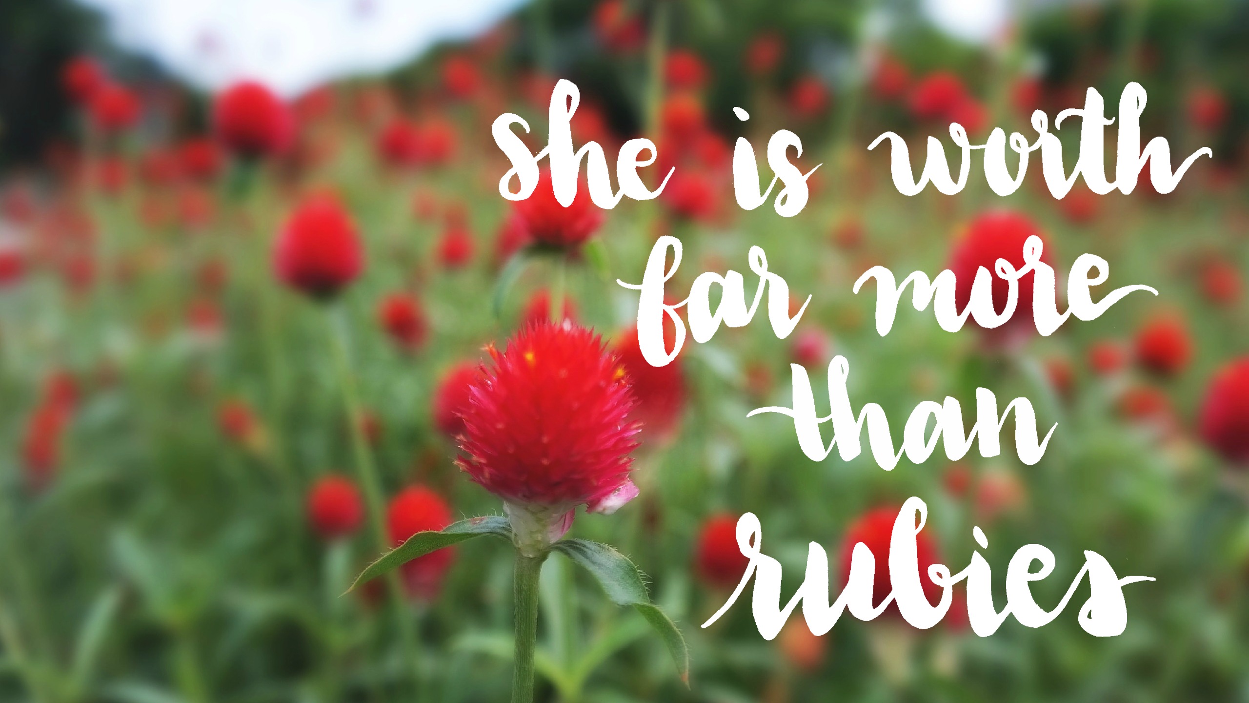 Proverbs 31 25 Wallpapers