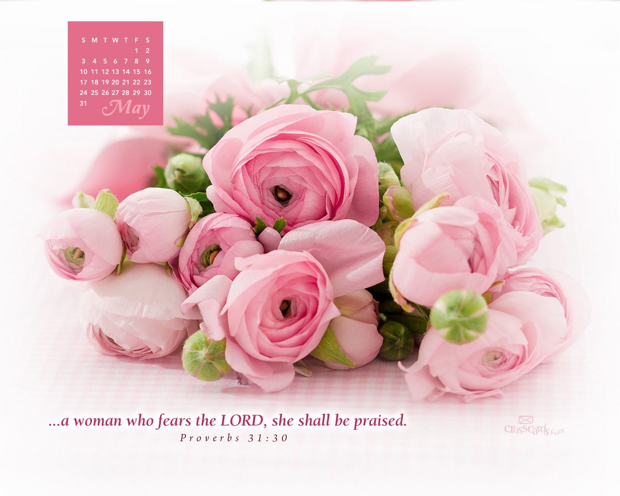 Proverbs 31 25 Wallpapers