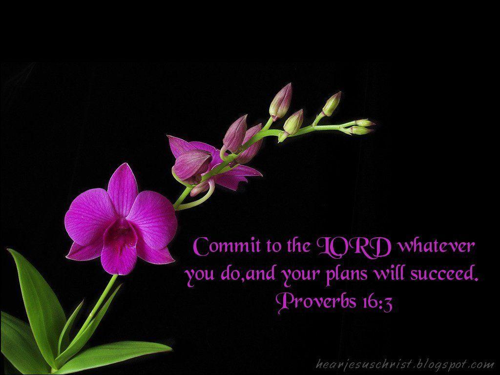 Proverbs Wallpapers