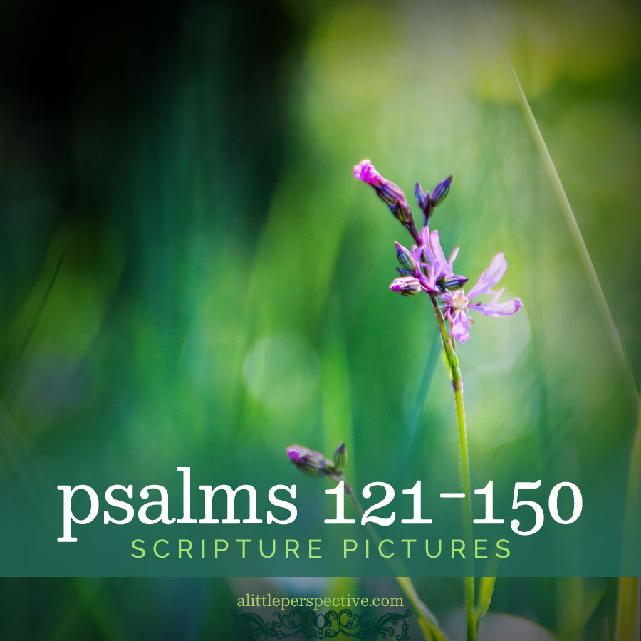 Psalm 121 Images Wallpapers