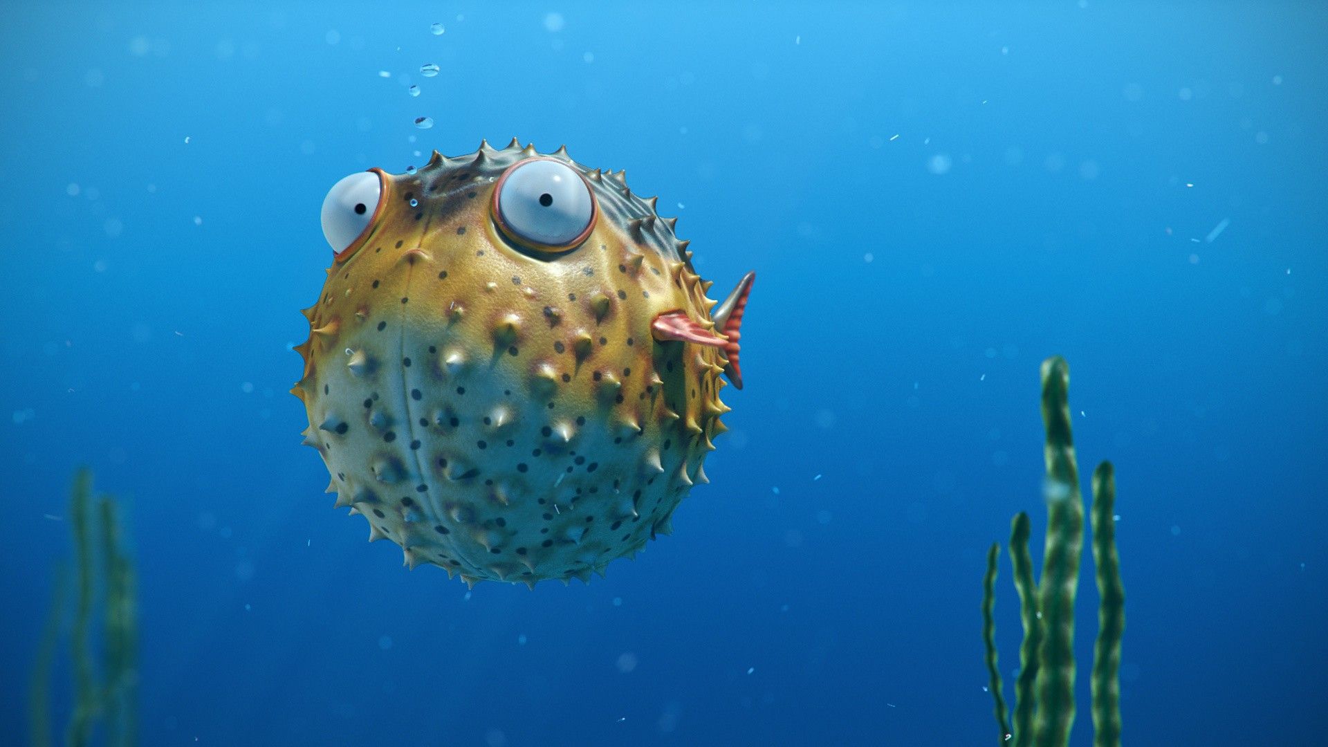 Puffer Fish Wallpapers