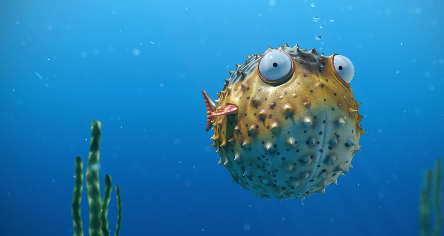 Puffer Fish Wallpapers