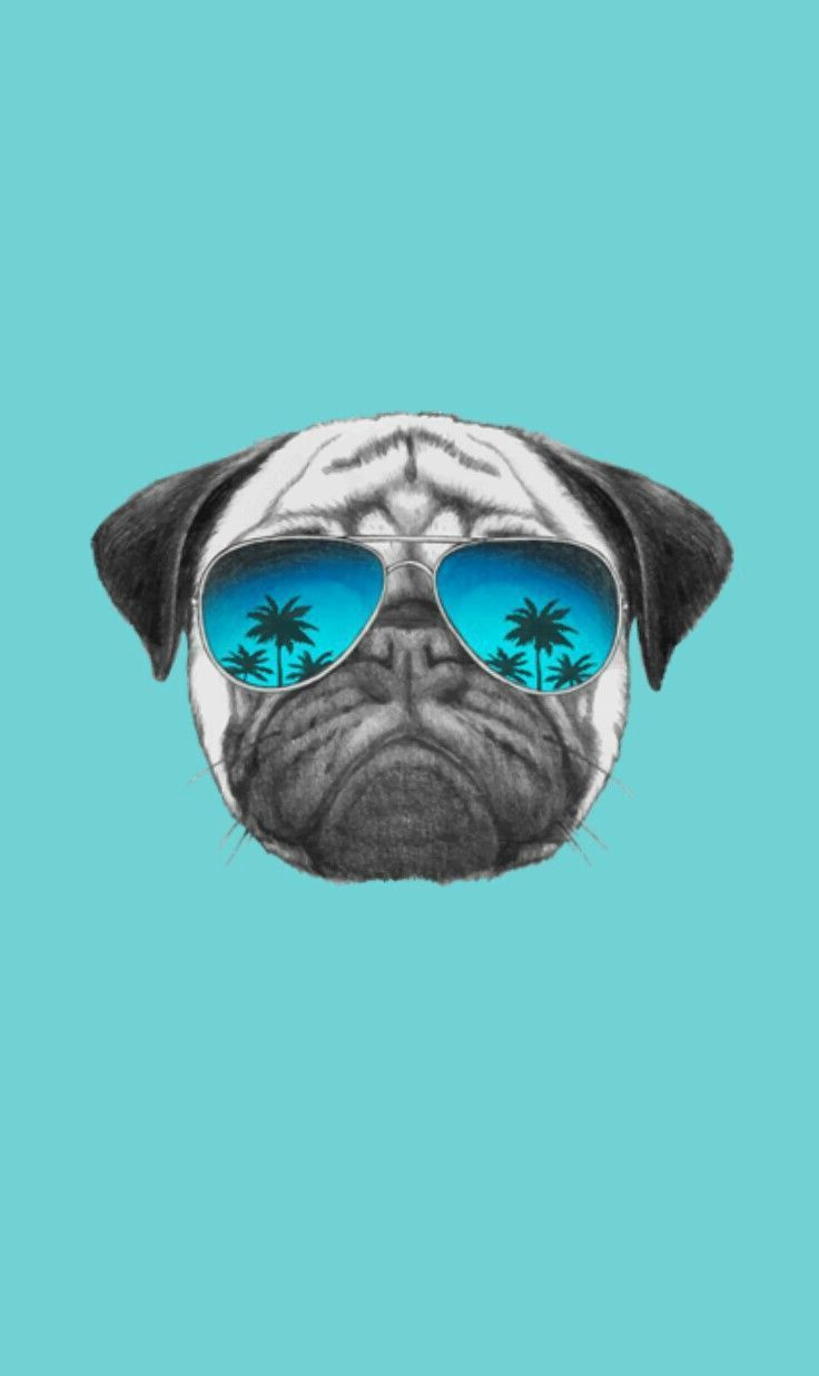 Pug Live Wallpapers