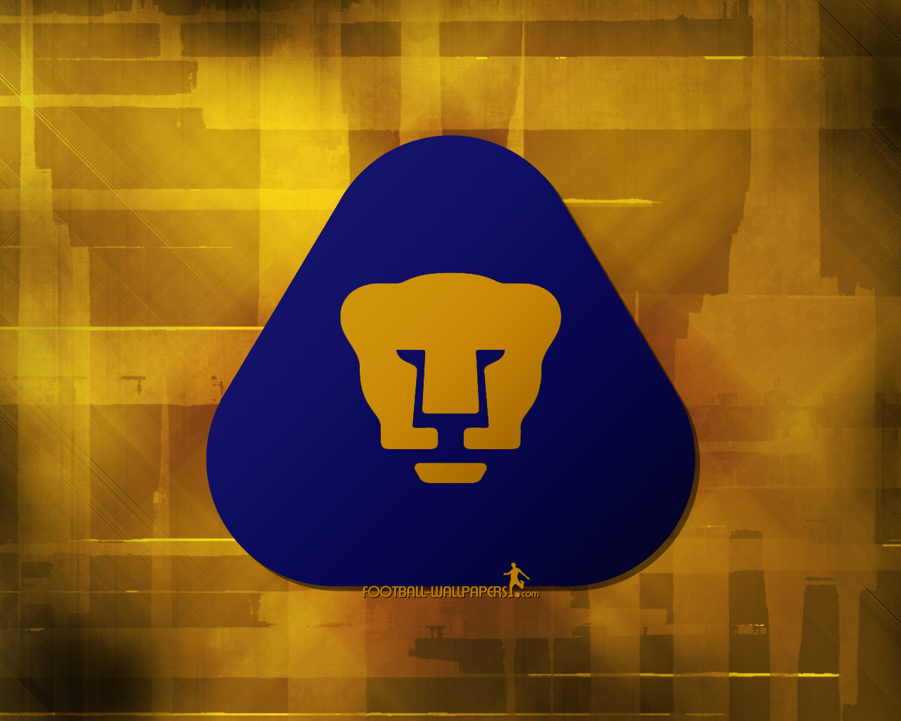 Pumas Wallpapers