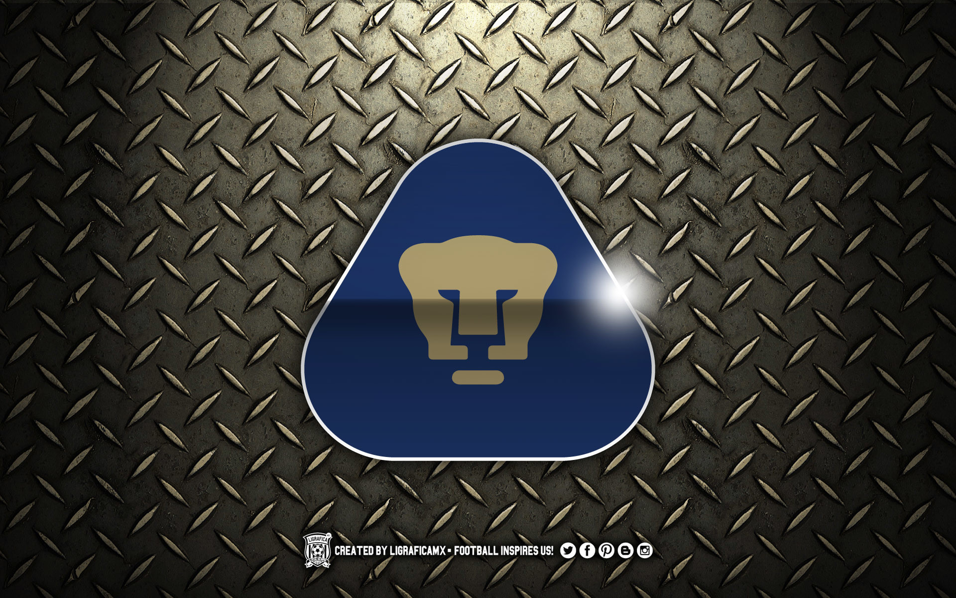 Pumas Wallpapers