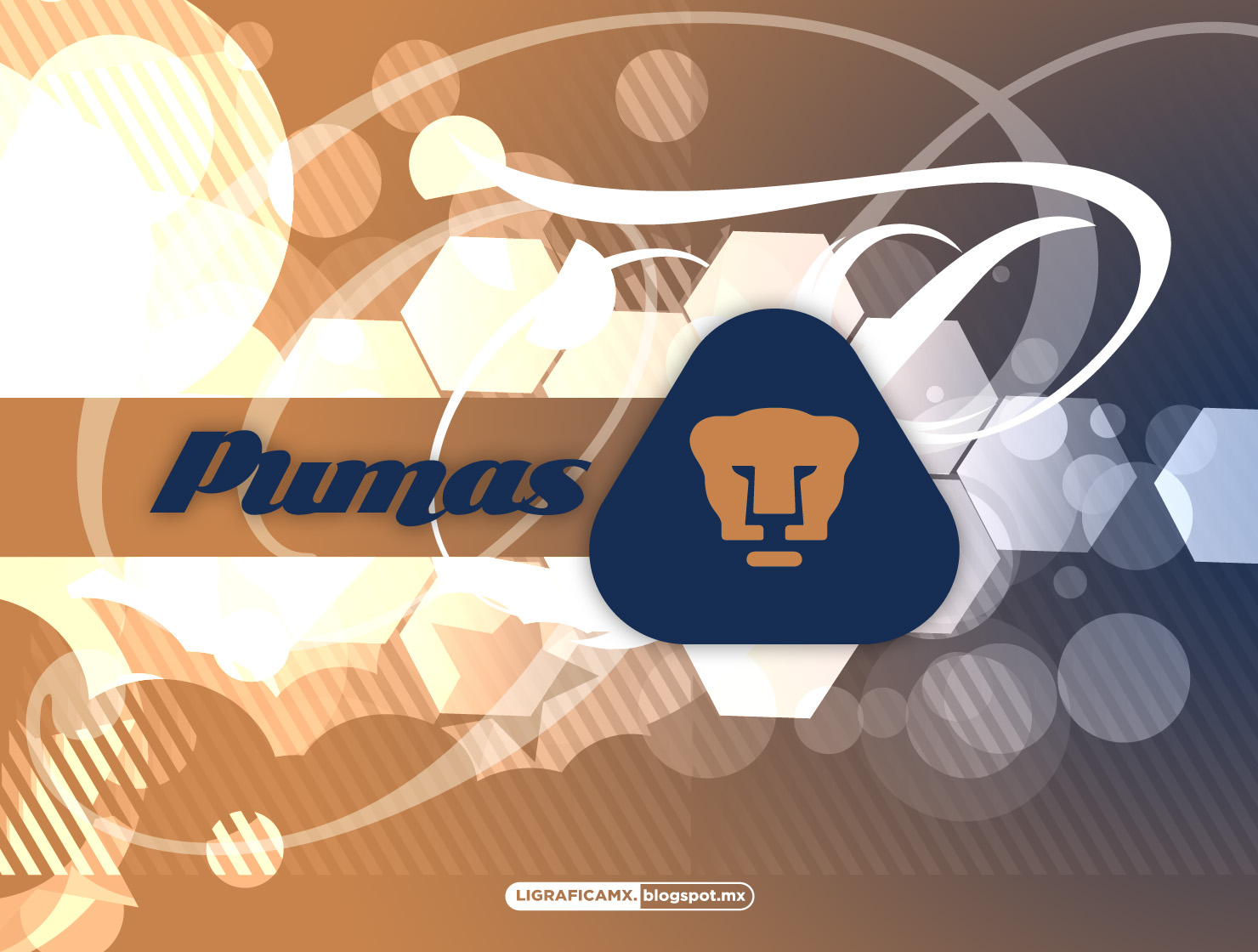 Pumas Wallpapers