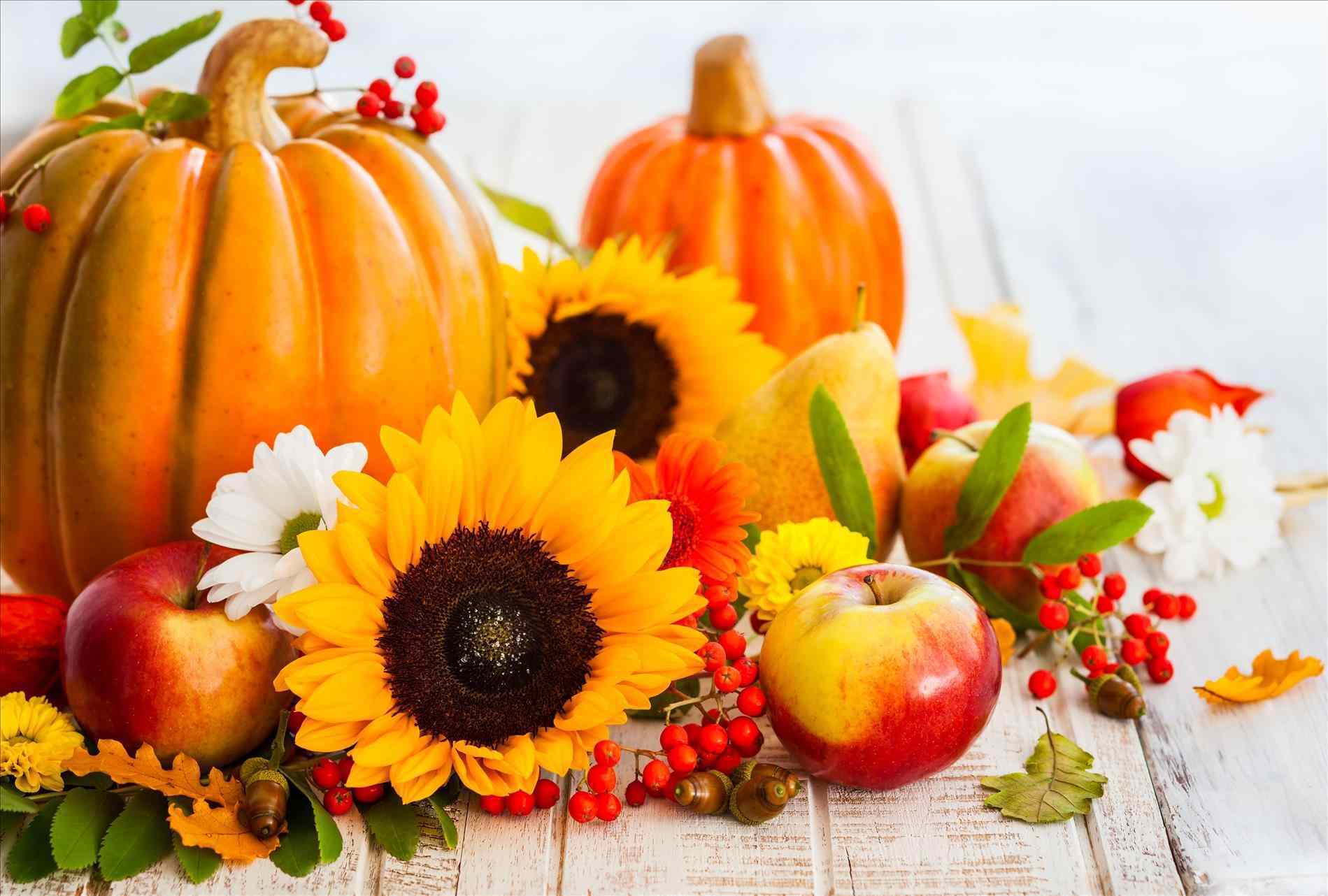 Pumpkins And Flowers Images Wallpapers