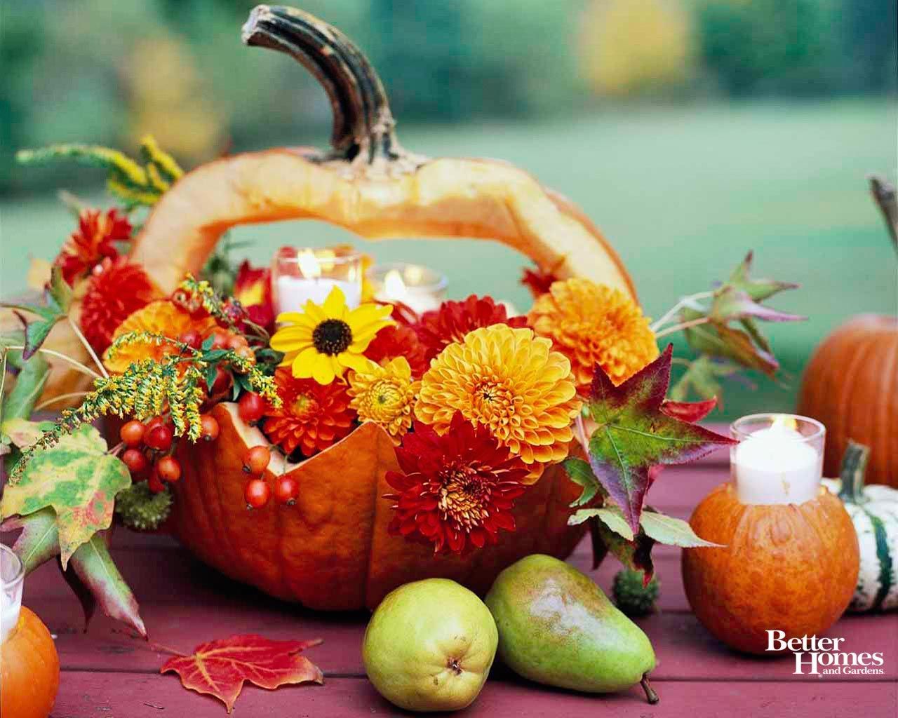 Pumpkins And Flowers Images Wallpapers