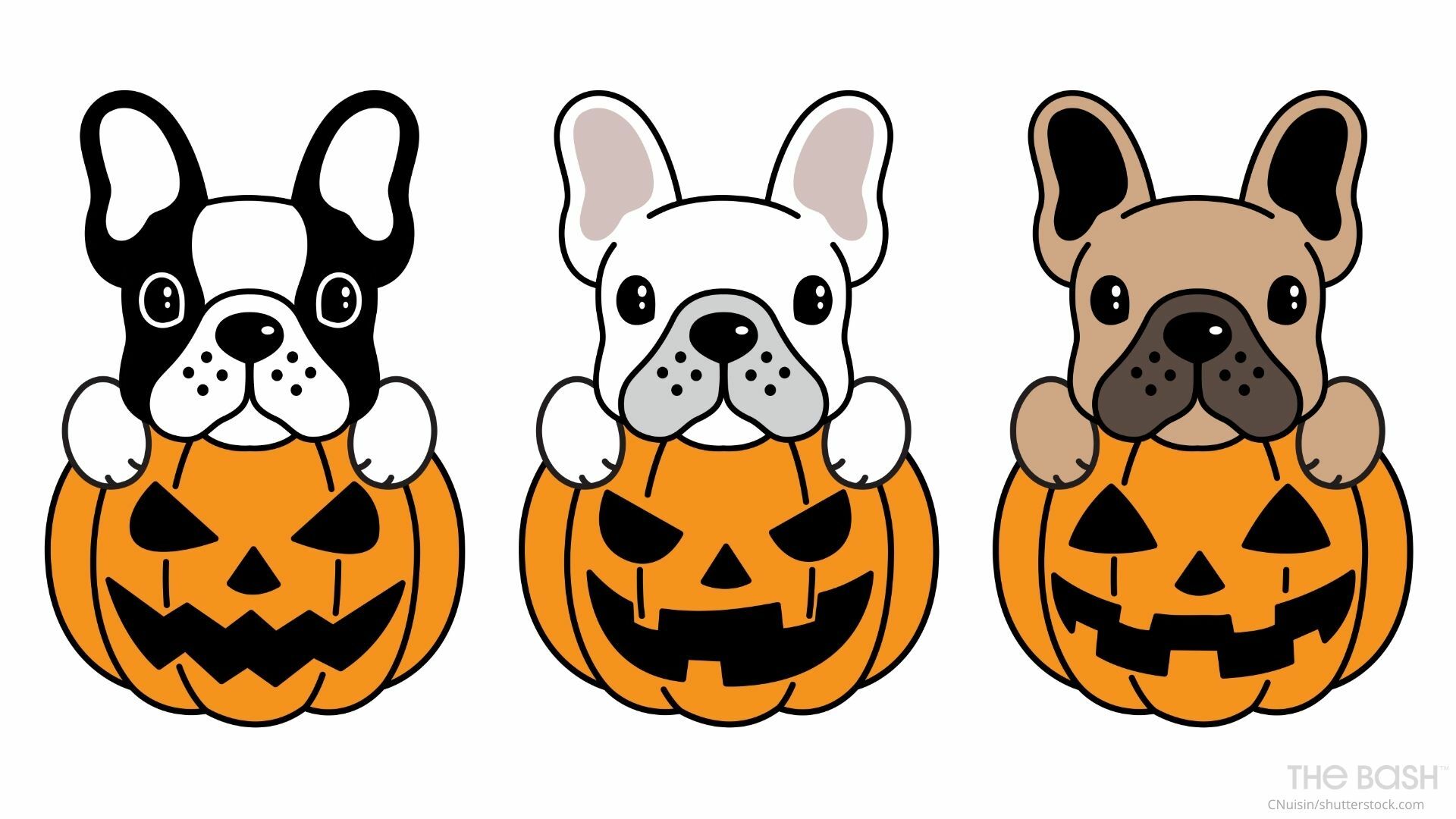 Puppy Halloween Wallpapers