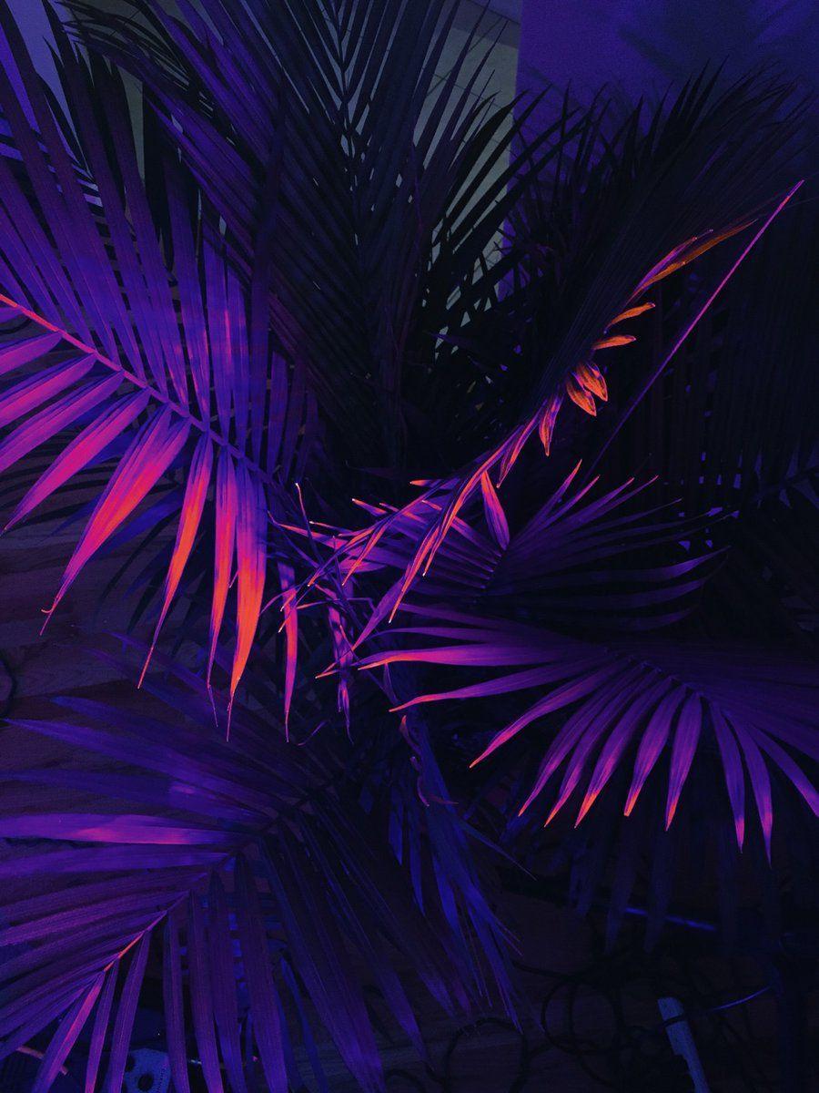 Purple And Black Aesthetic Wallpapers