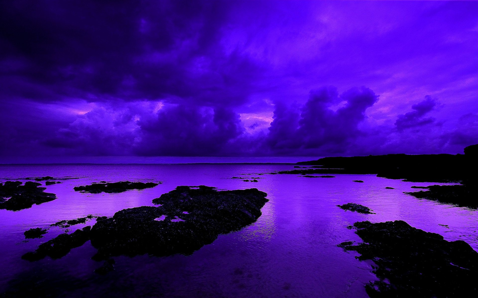 Purple Beach Wallpapers