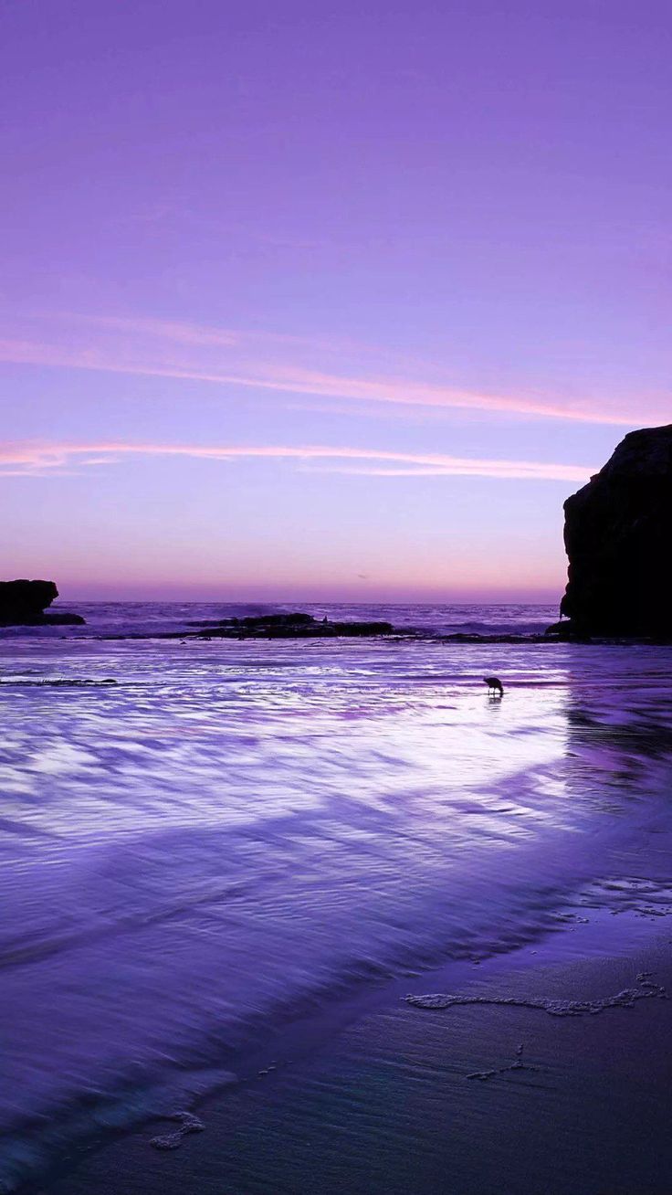 Purple Beach Wallpapers