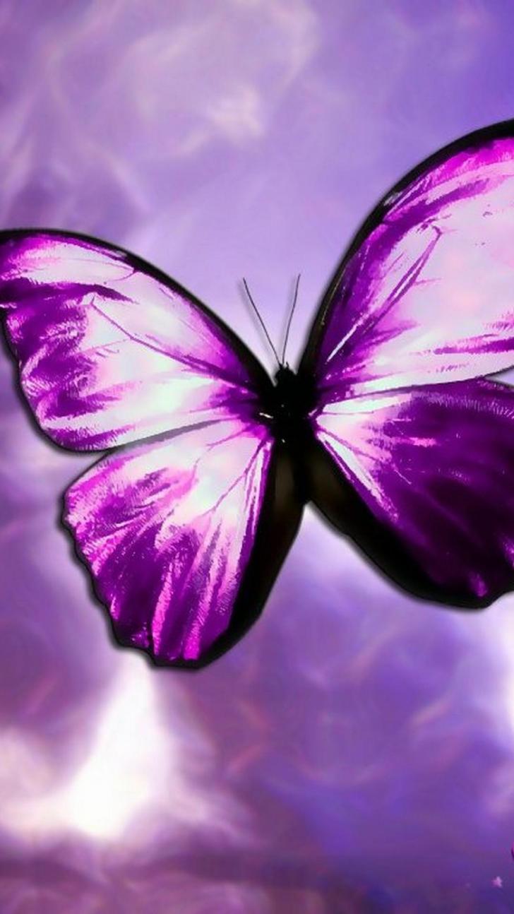 Purple Butterfly Aesthetic Wallpapers