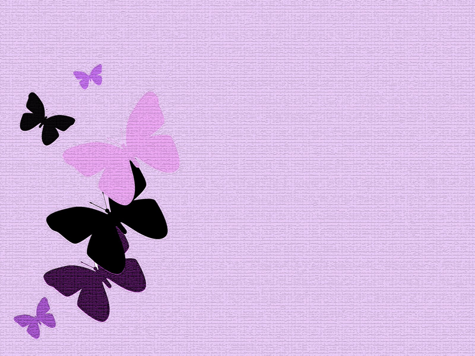 Purple Butterfly Wallpapers