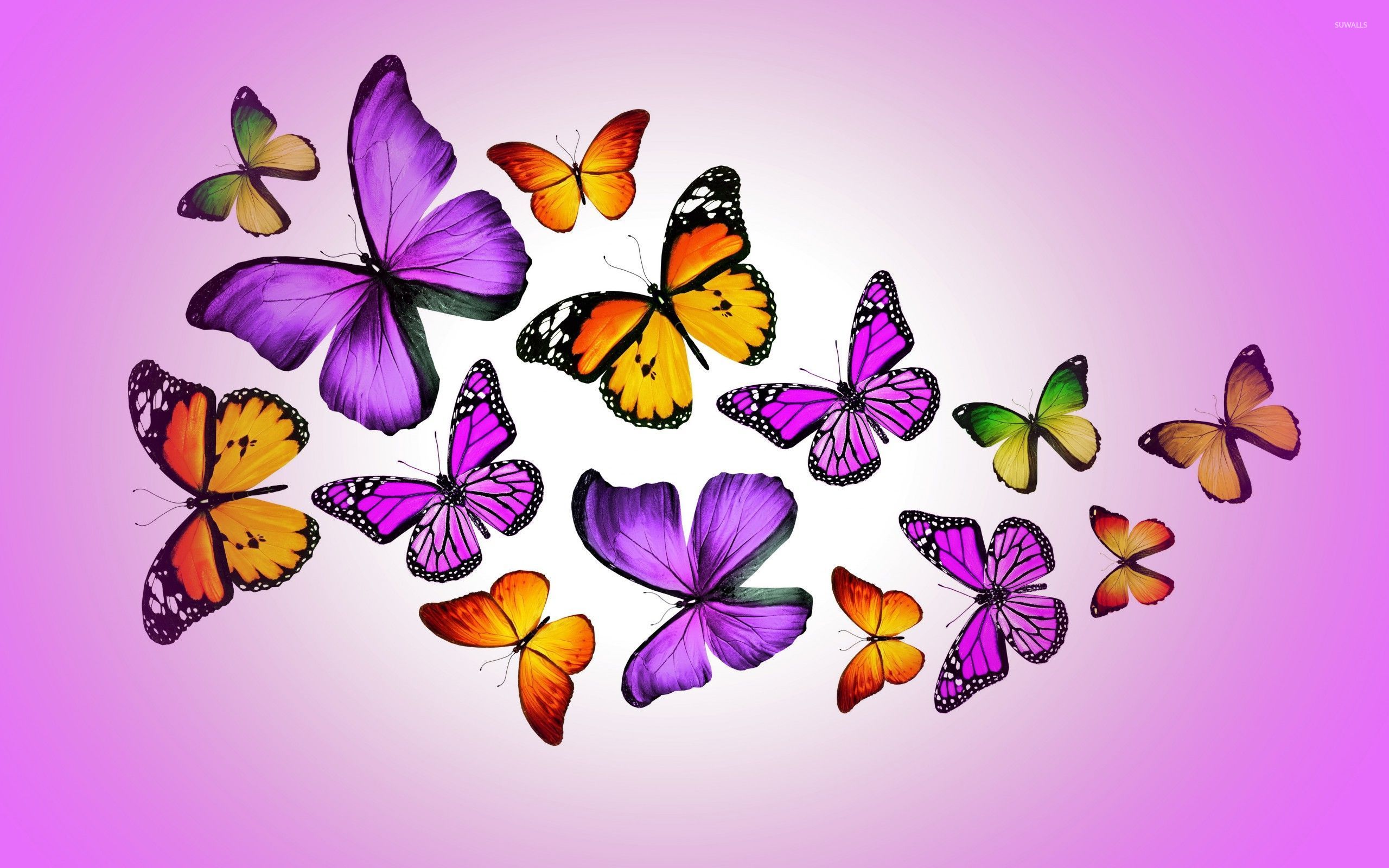 Purple Butterfly Wallpapers