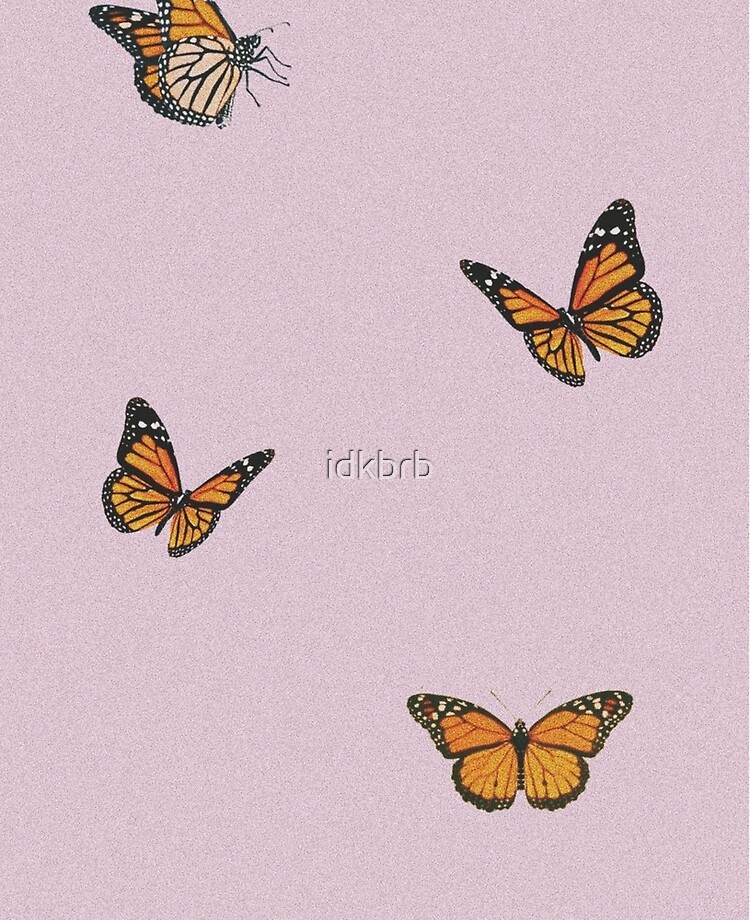 Purple Butterfly Wallpapers