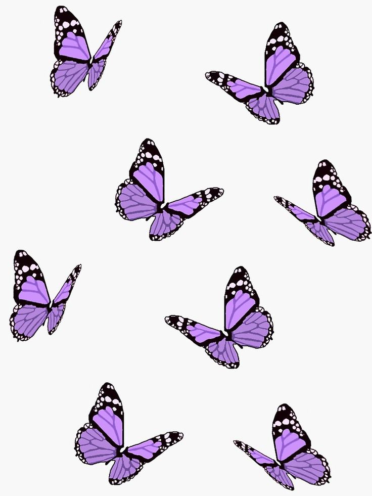 Purple Butterfly Wallpapers