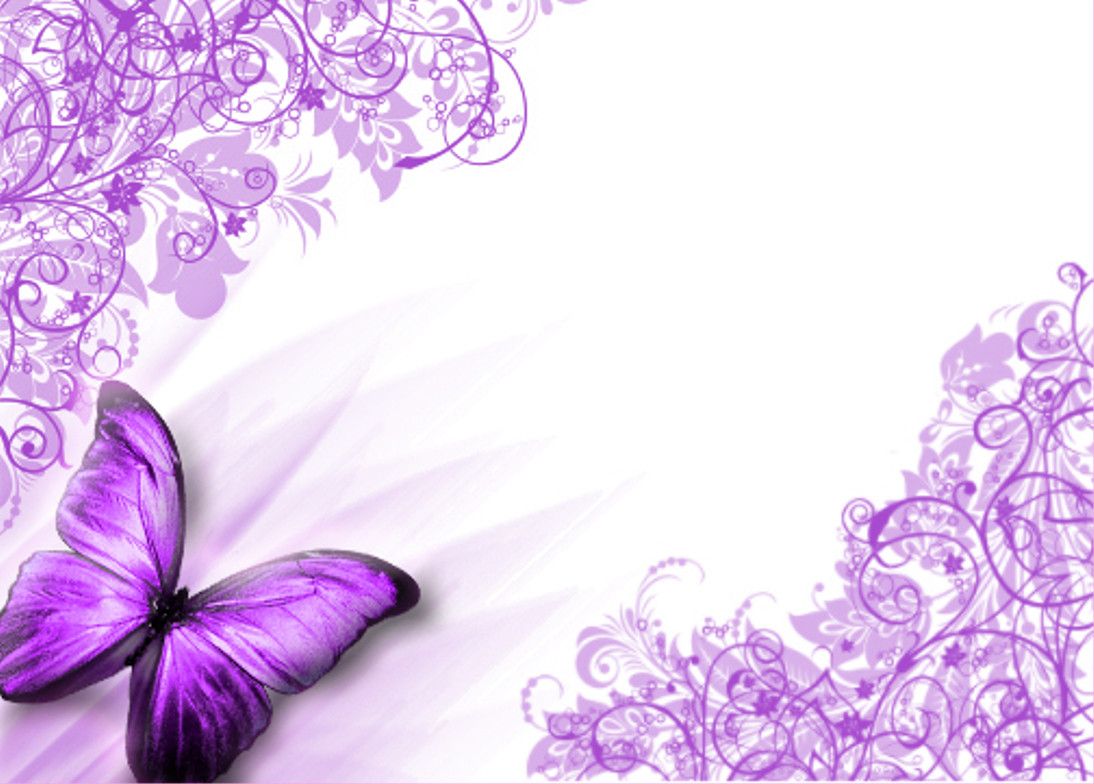 Purple Butterfly Wallpapers