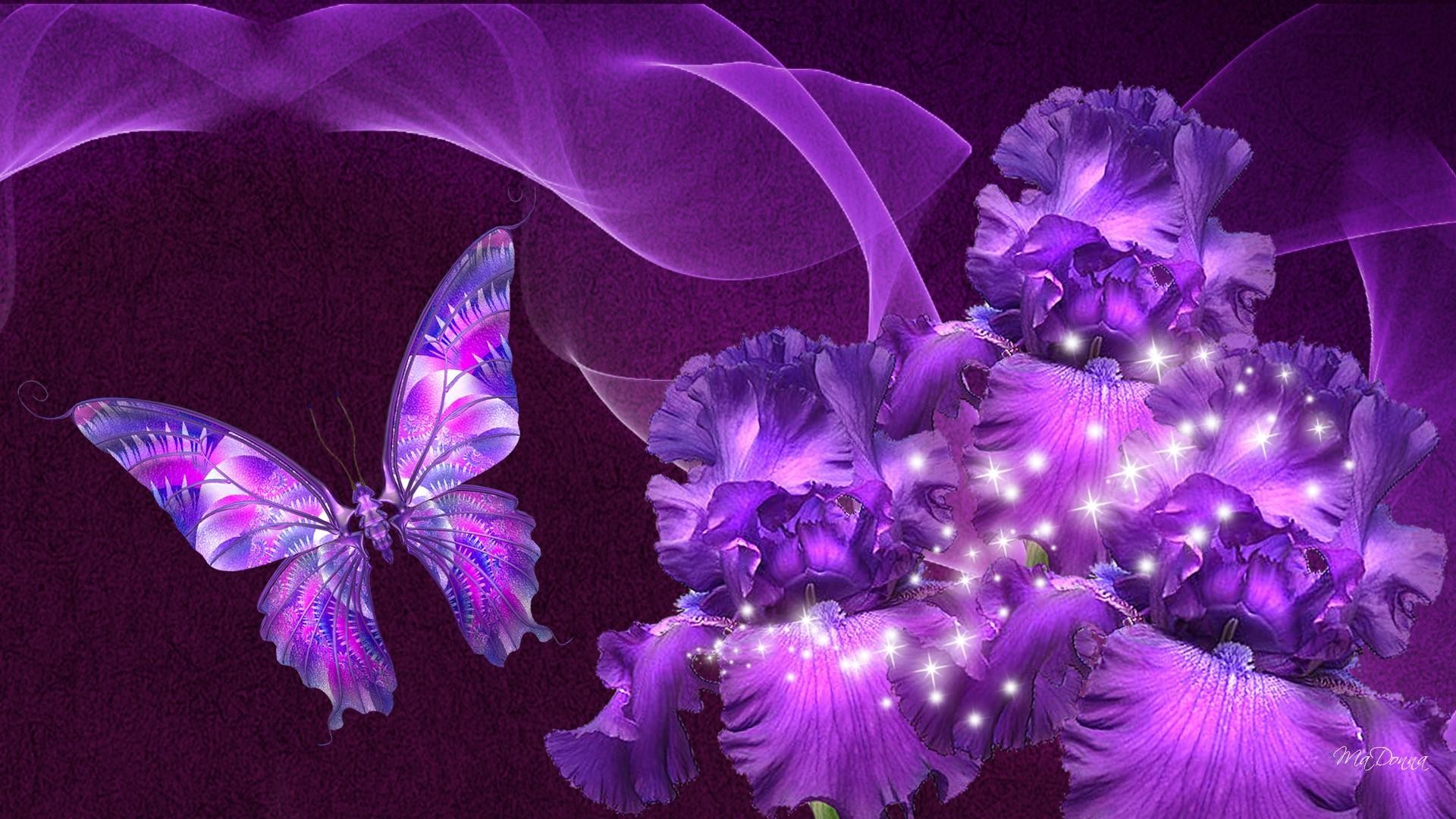 Purple Butterfly Wallpapers