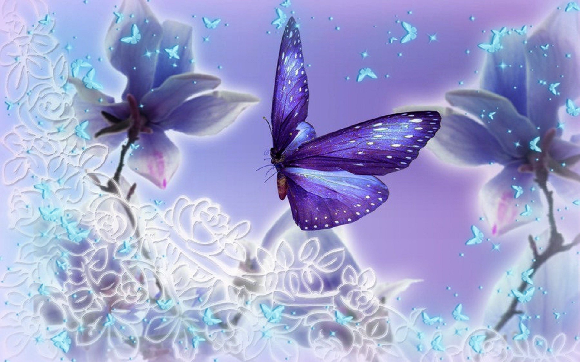 Purple Butterfly Wallpapers