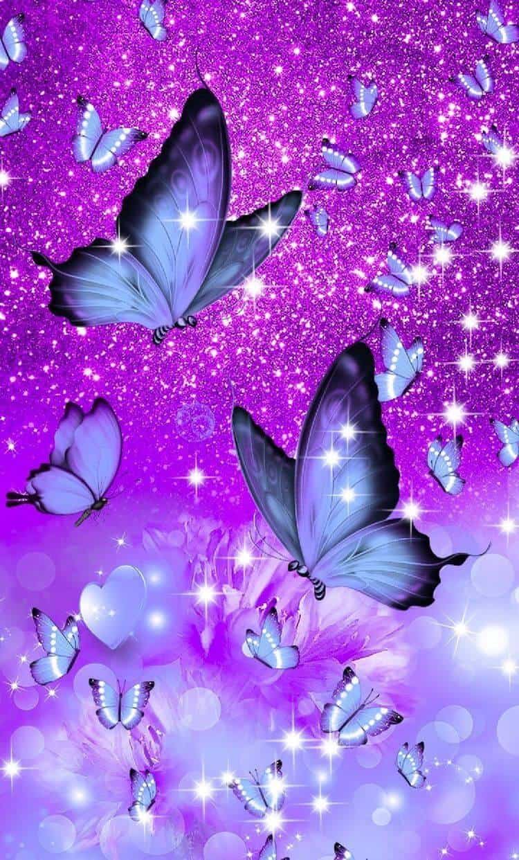 Purple Butterfly Wallpapers