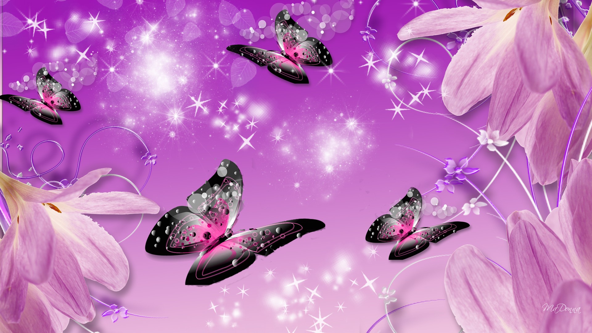 Purple Butterfly Wallpapers