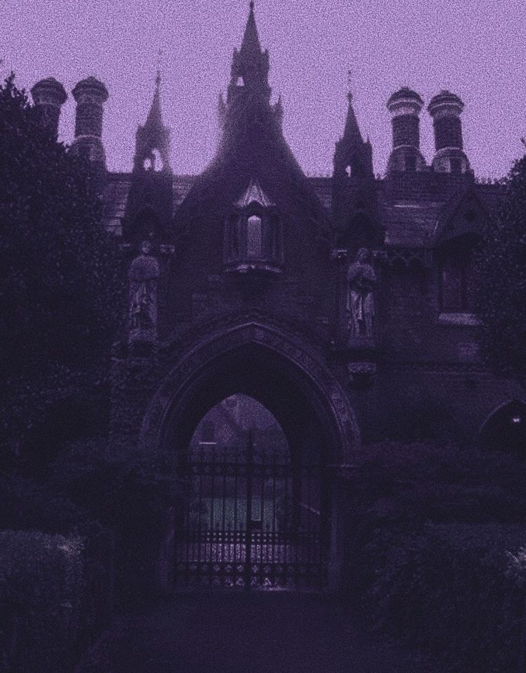 Purple Castle Wallpapers