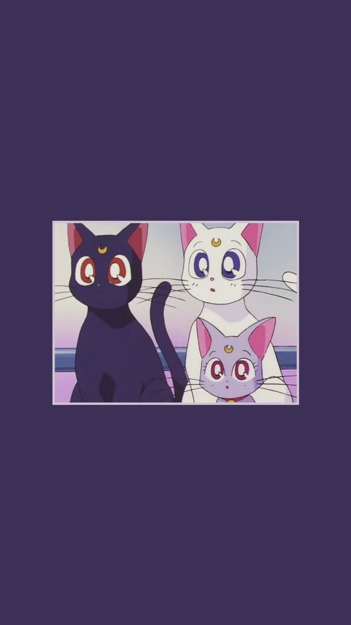 Purple Cat Aesthetic Wallpapers