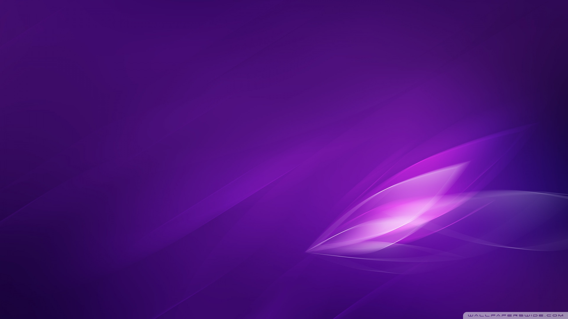 Purple Color Wallpapers