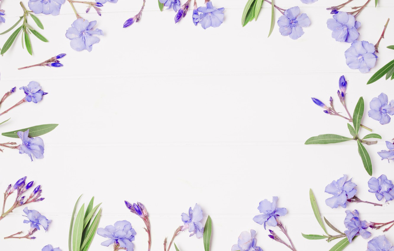 Purple Floral Wallpapers