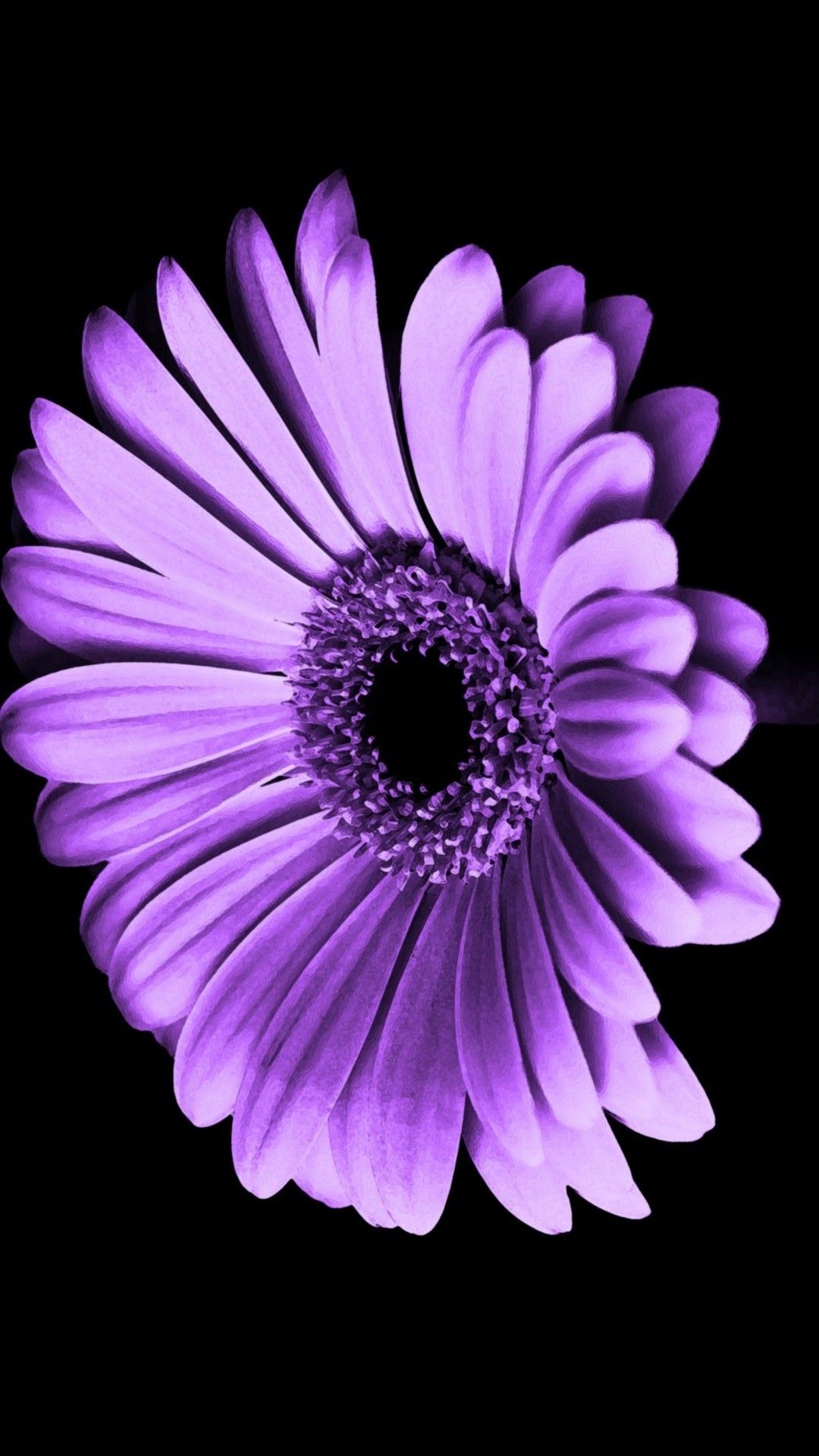 Purple Flower Wallpapers