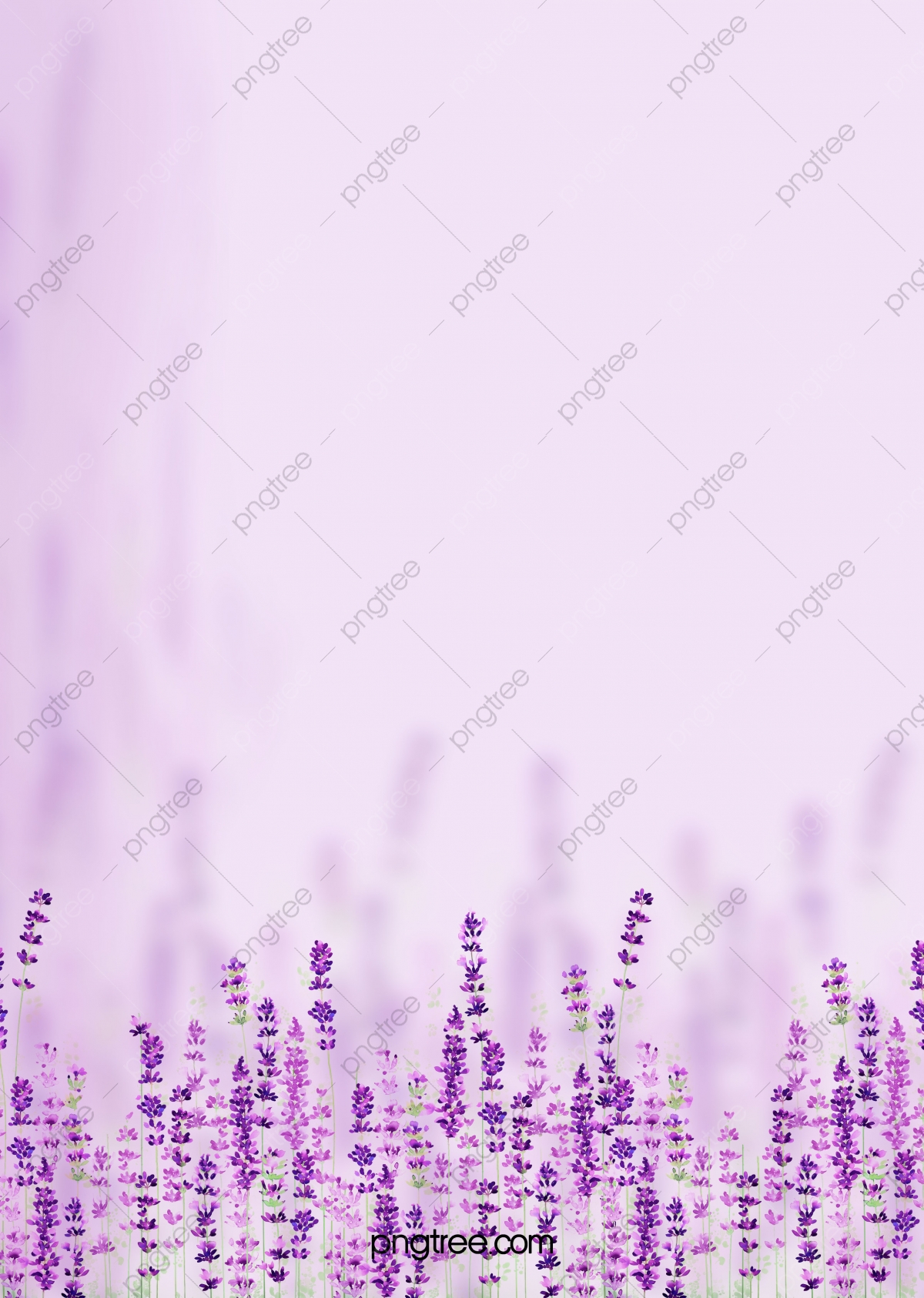 Purple Flower Wallpapers