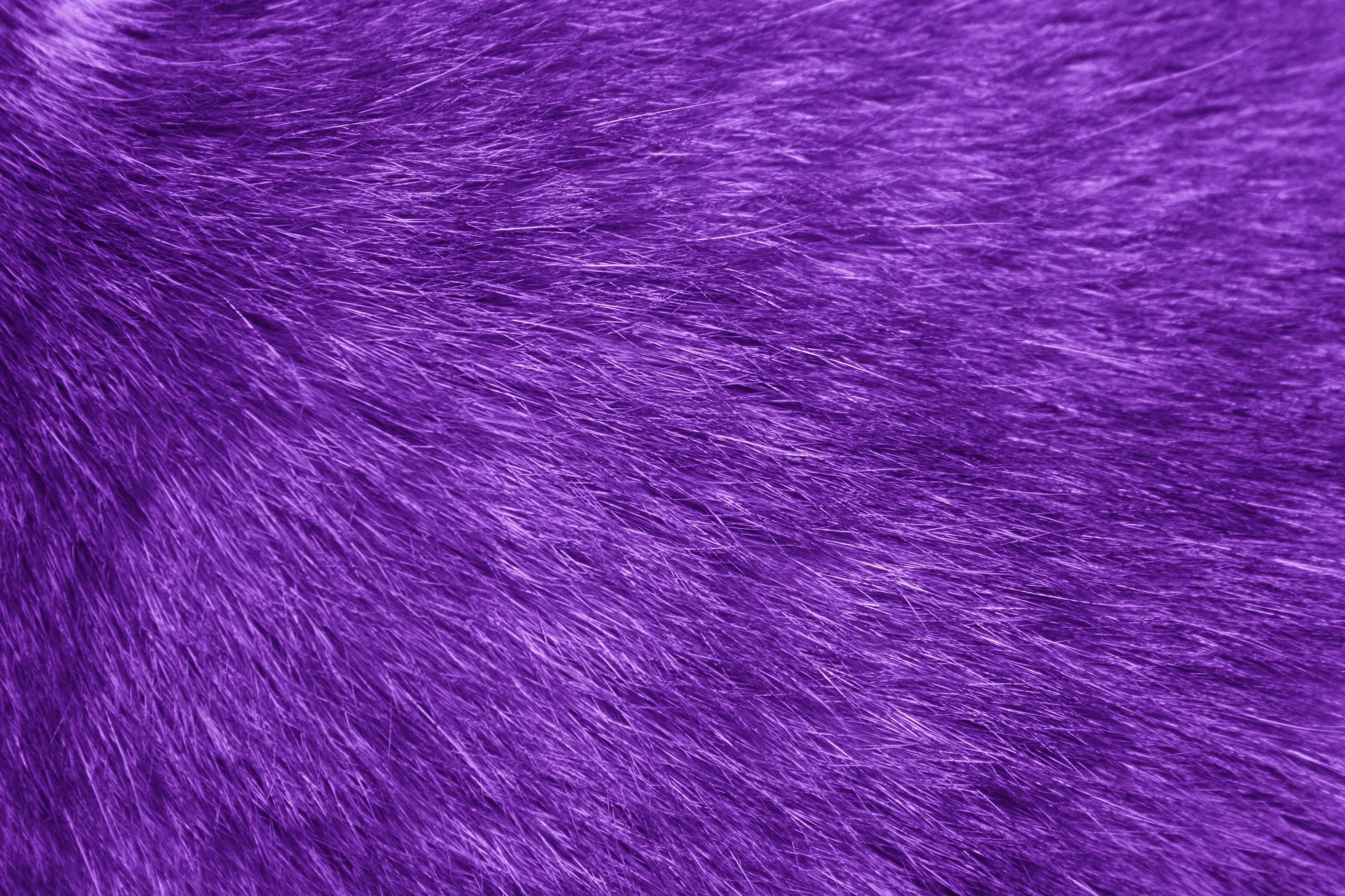 Purple Fur Wallpapers