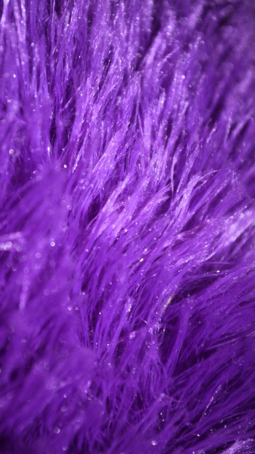 Purple Fur Wallpapers