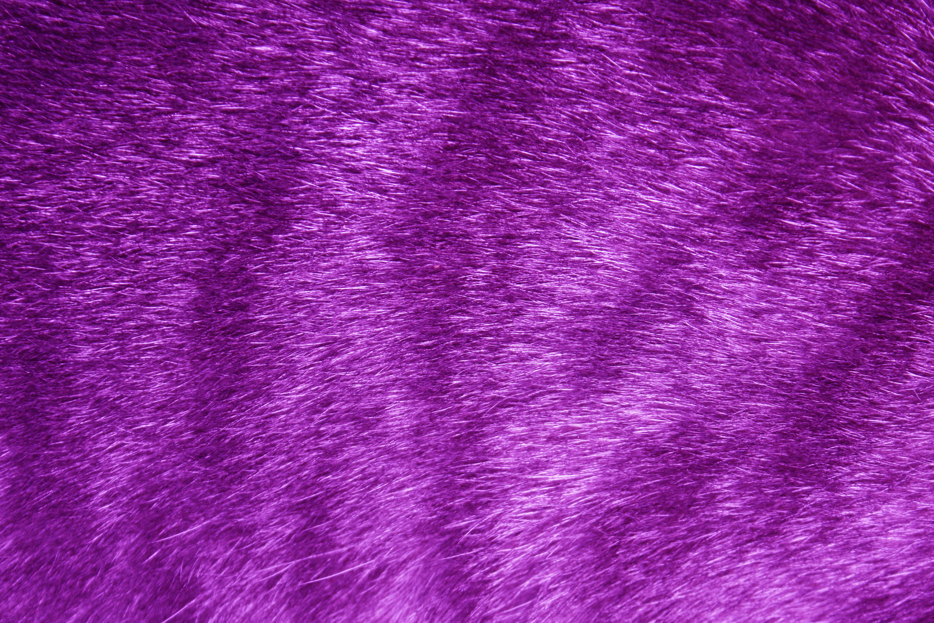 Purple Fur Wallpapers