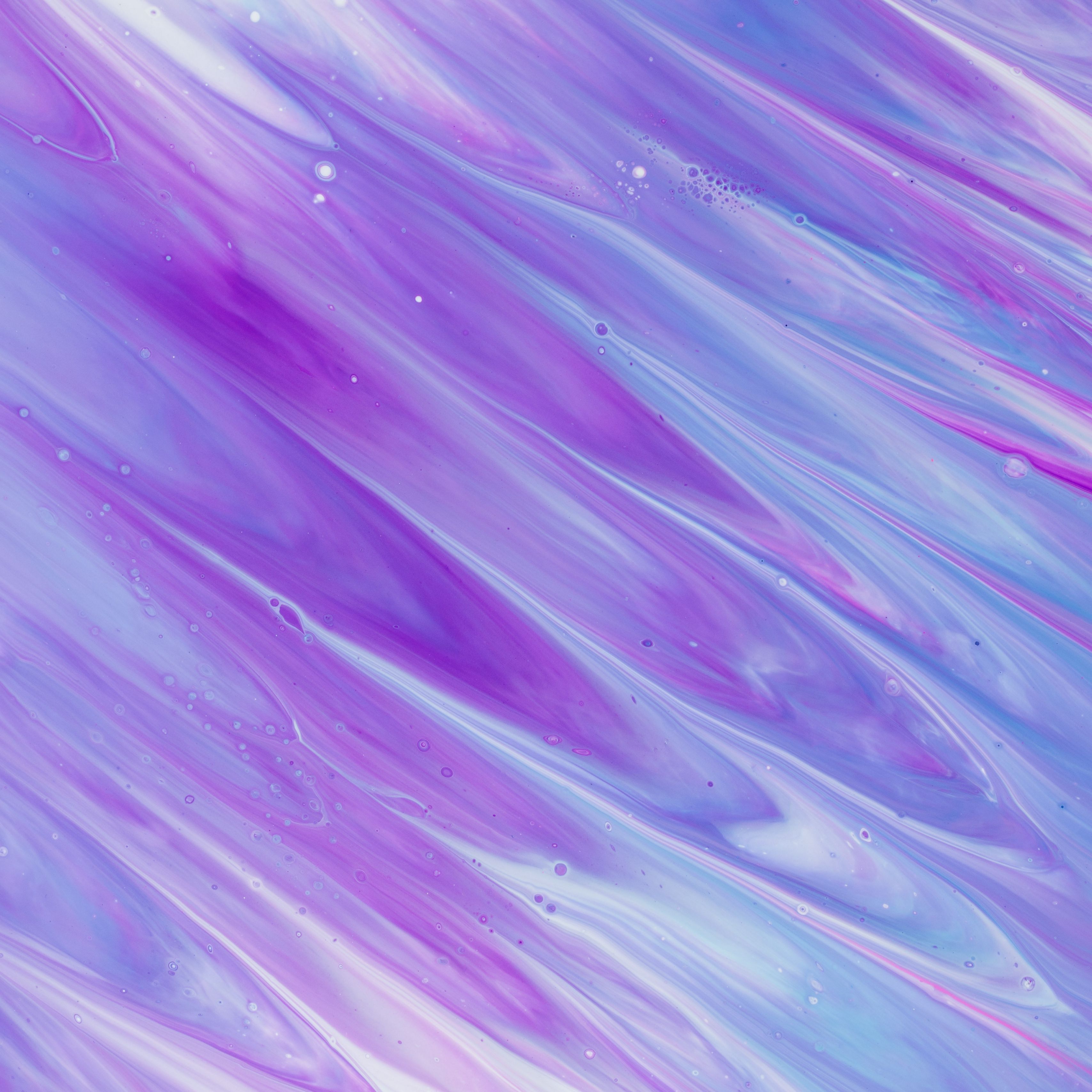 Purple Fur Wallpapers