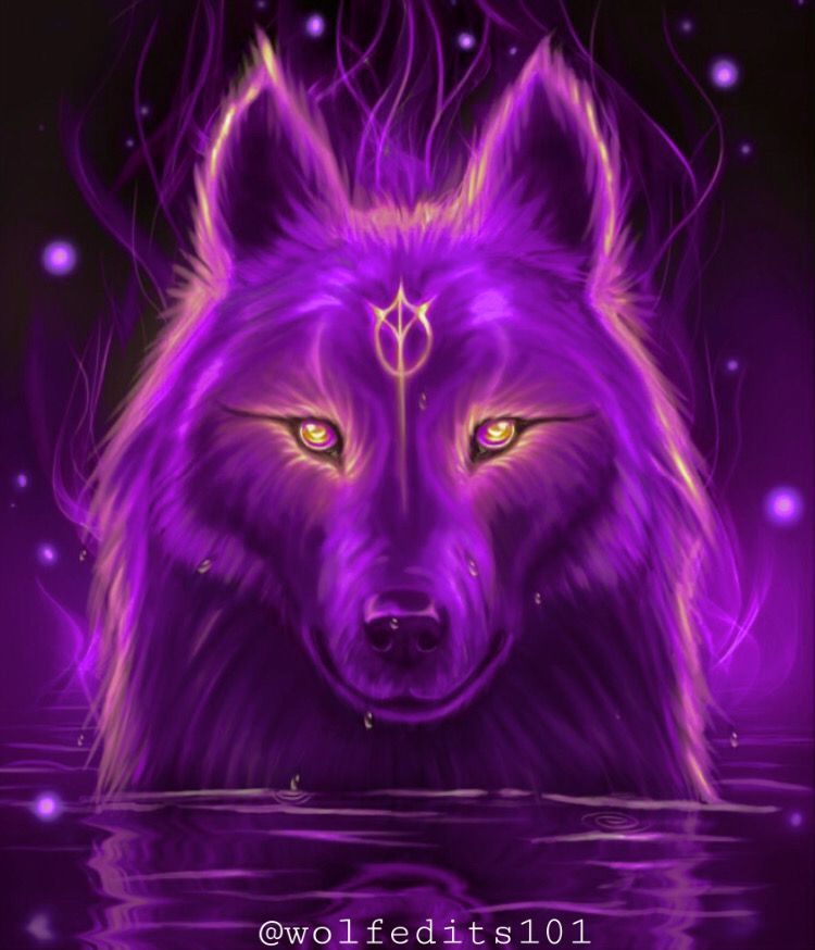 Purple Galaxy Wolf Wallpapers