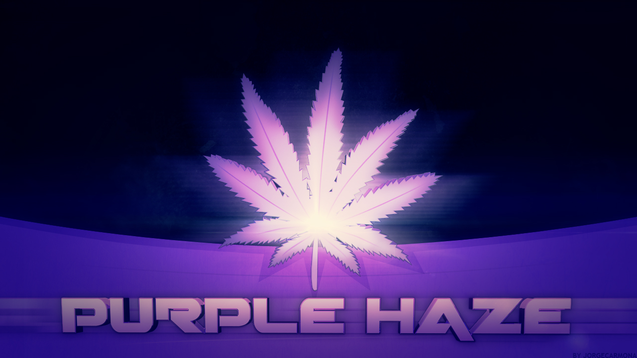 Purple Haze Wallpapers