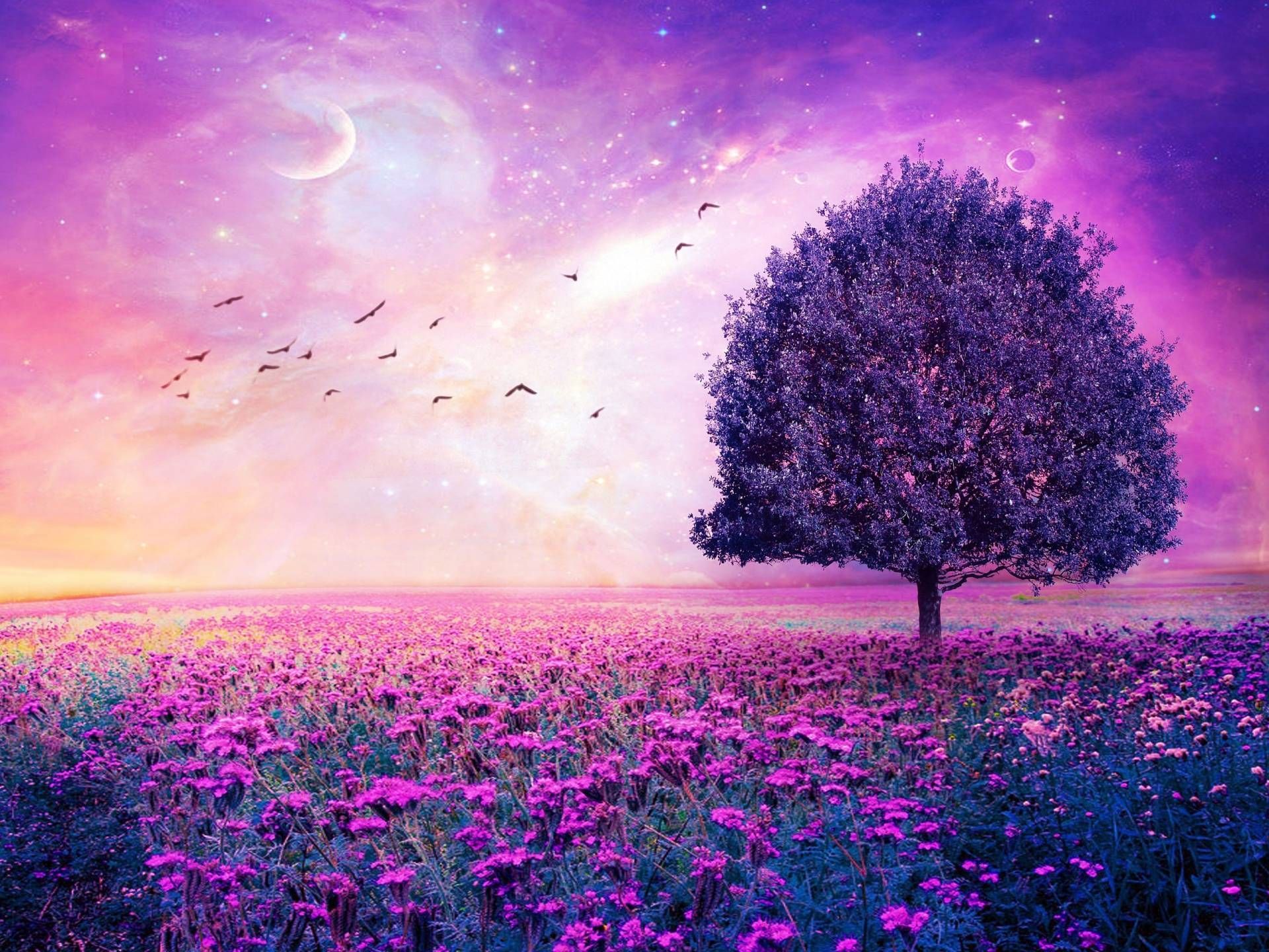 Purple Landscape Wallpapers