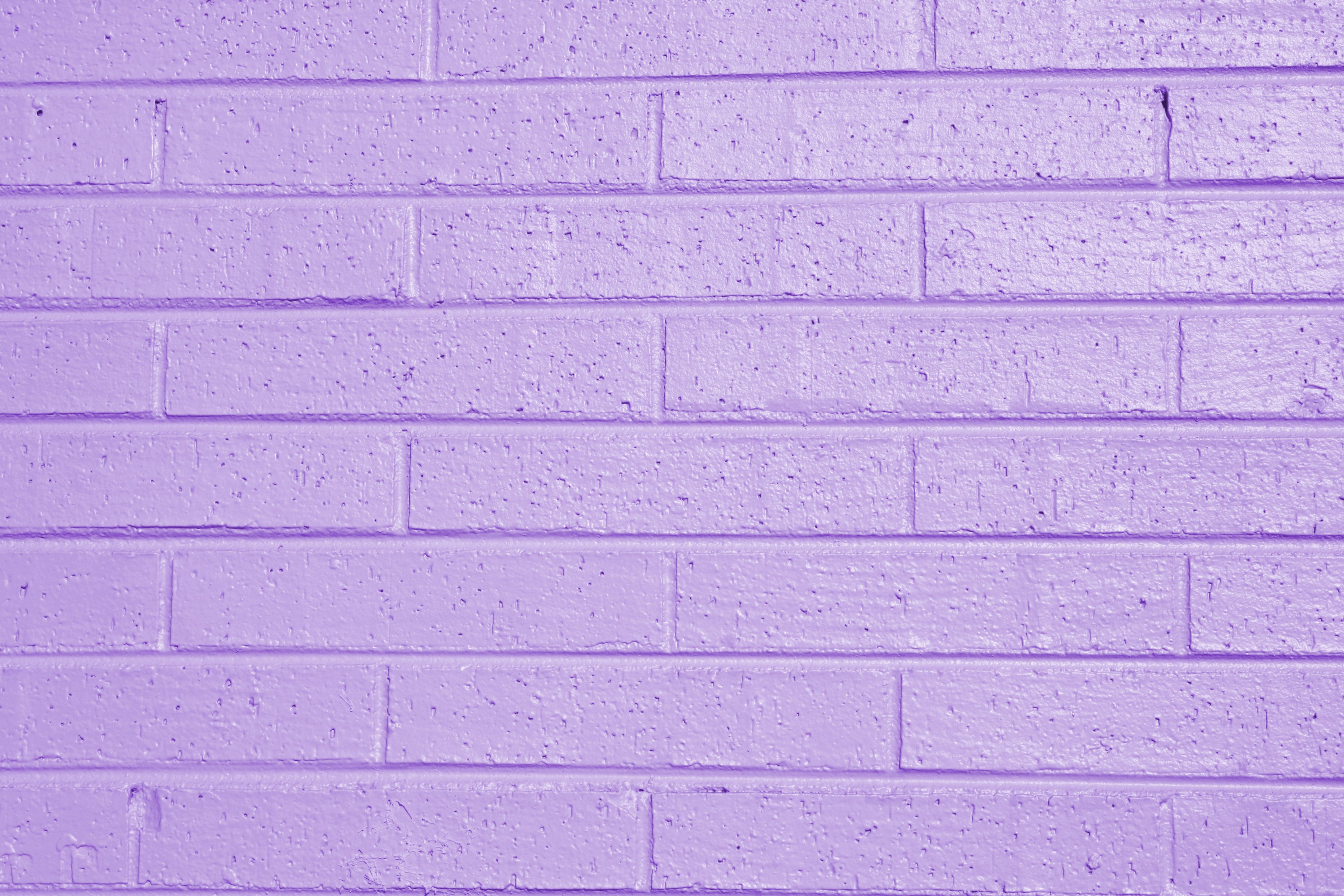 Purple Lavender Wallpapers