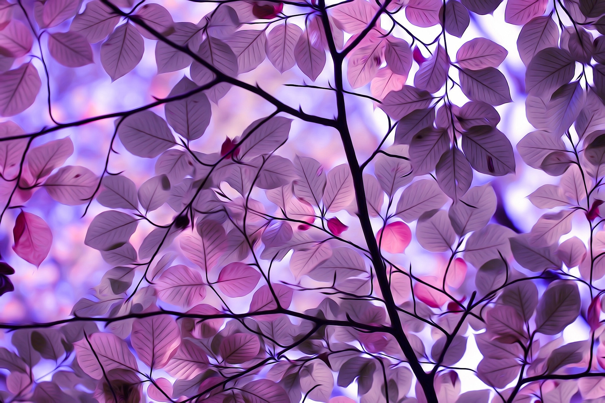 Purple Leaf Wallpapers