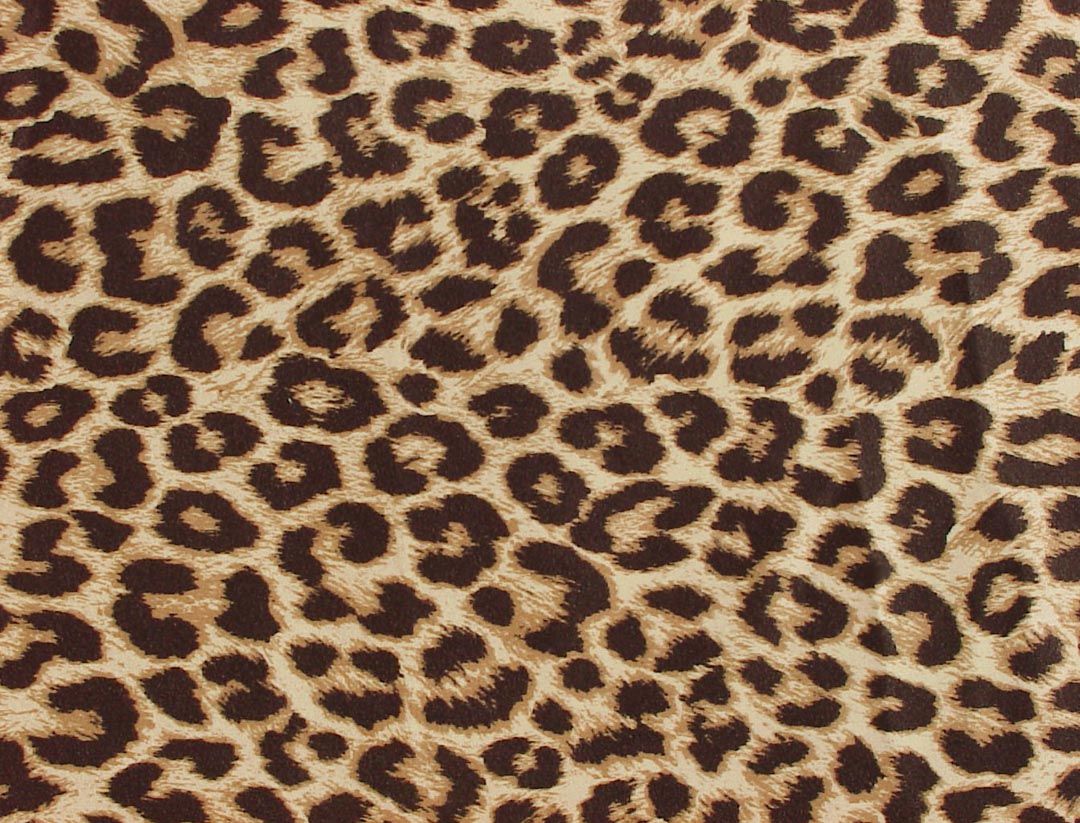 Purple Leopard Print Wallpapers