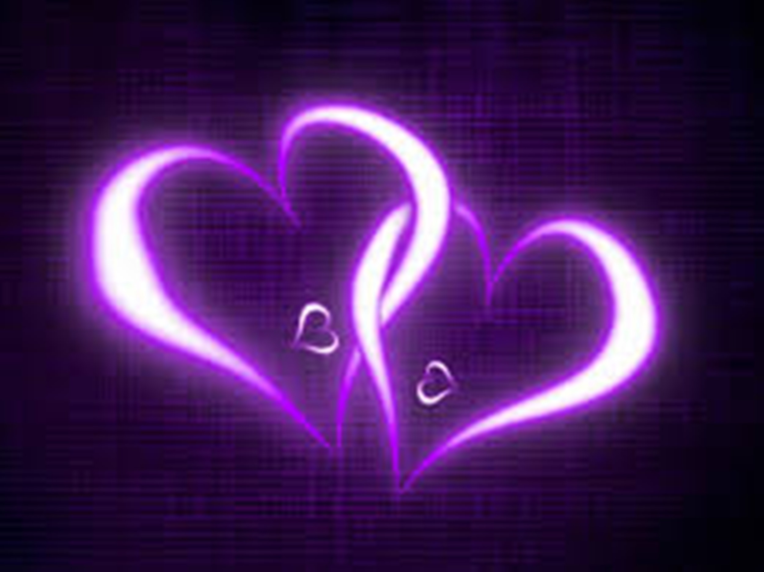 Purple Love Wallpapers