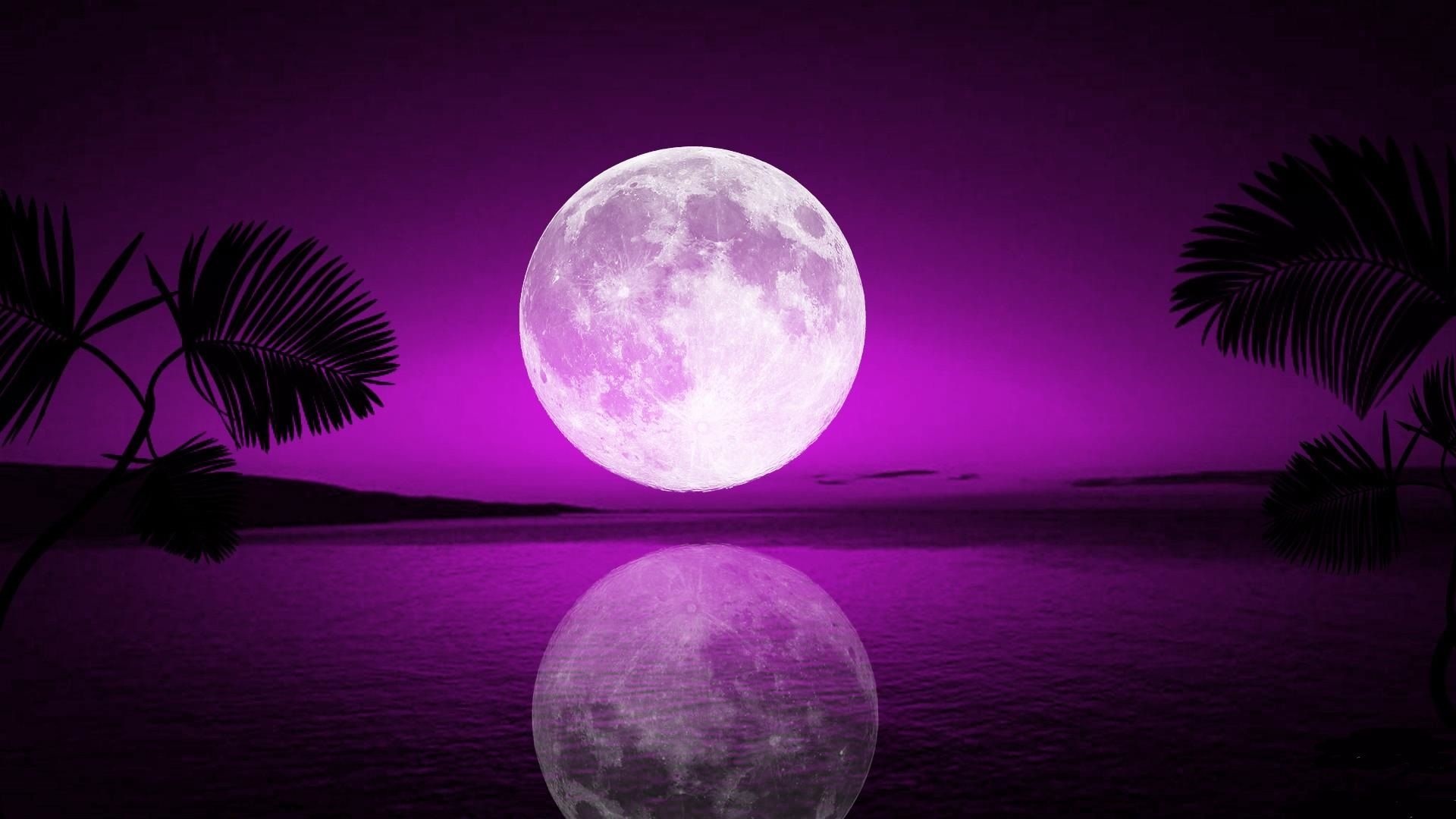 Purple Moon Wallpapers