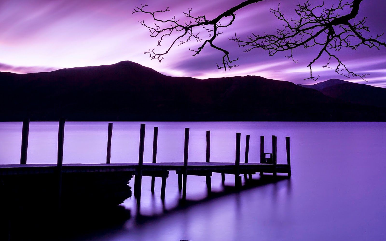 Purple Nature Wallpapers