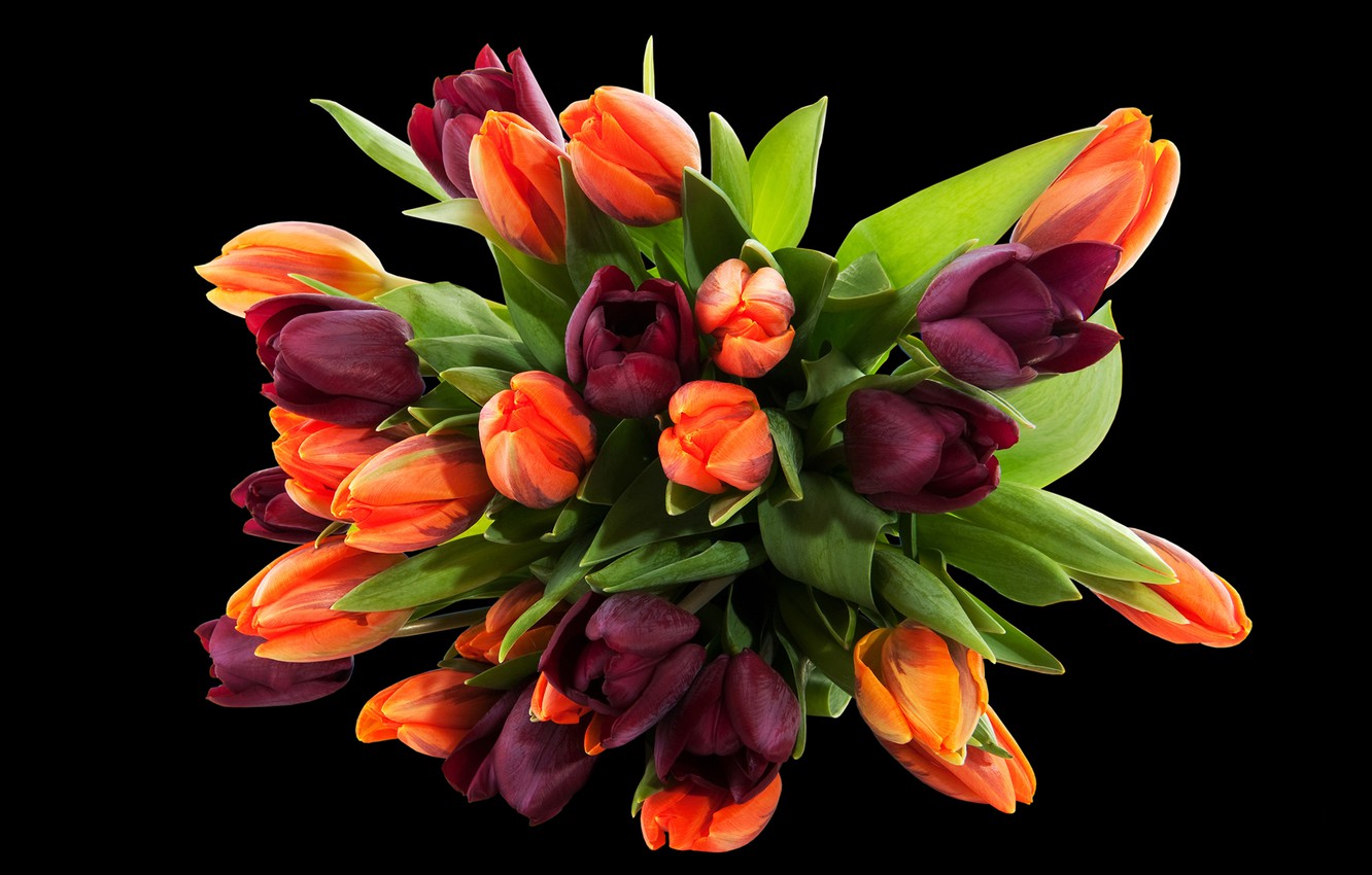 Purple Orange Flowers Wallpapers