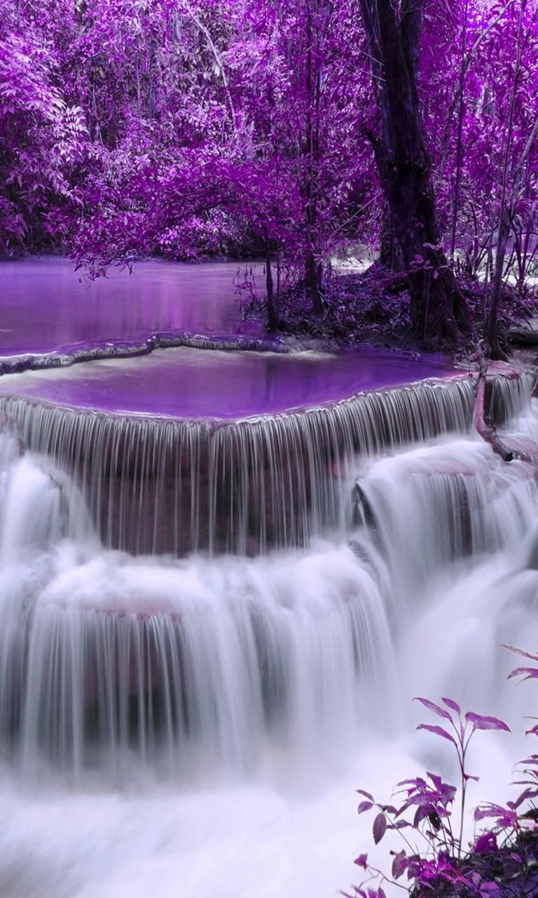 Purple Scenery Wallpapers