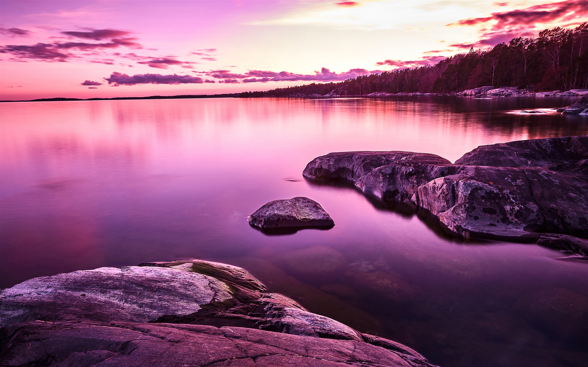 Purple Scenery Wallpapers