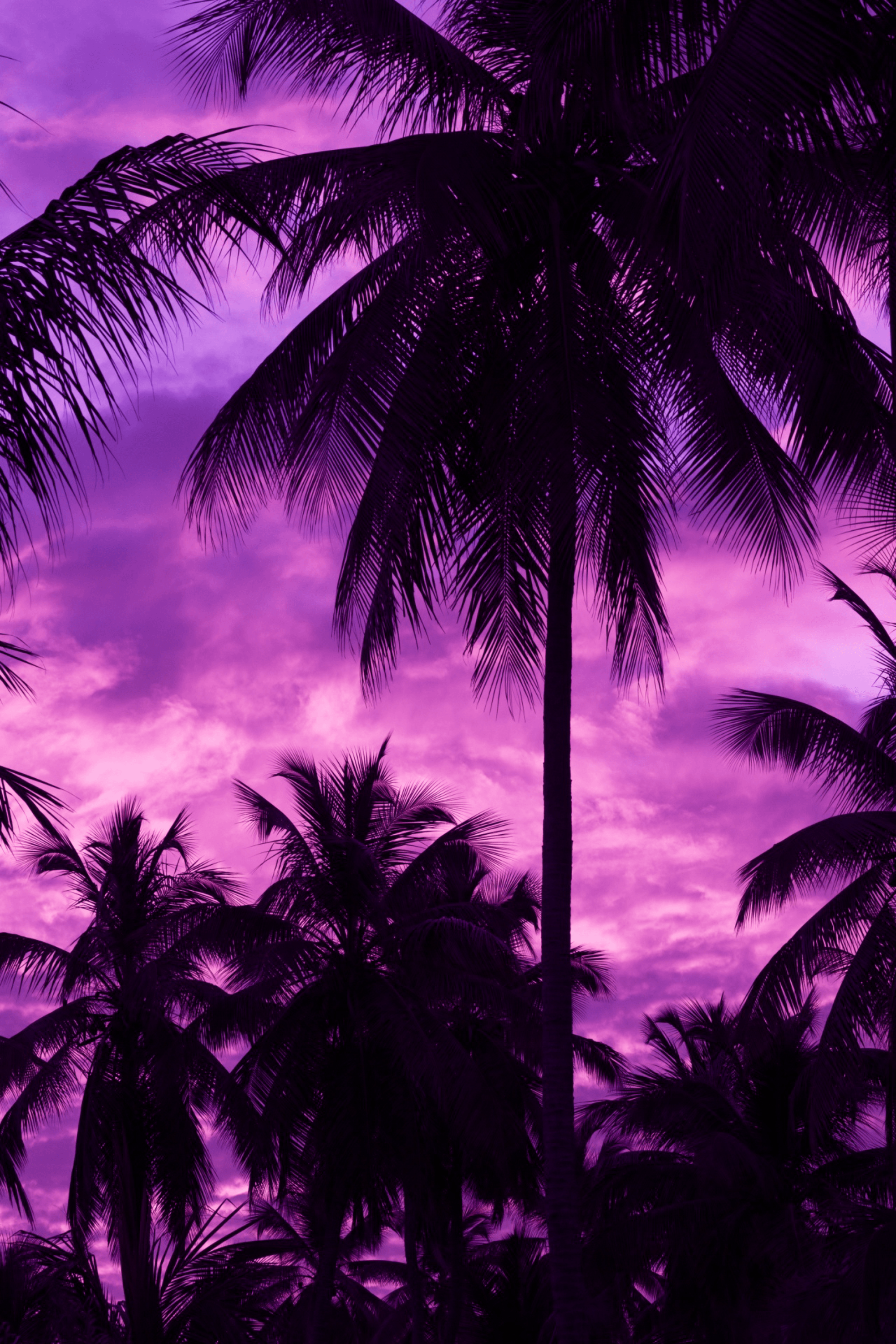 Purple Skyline Wallpapers